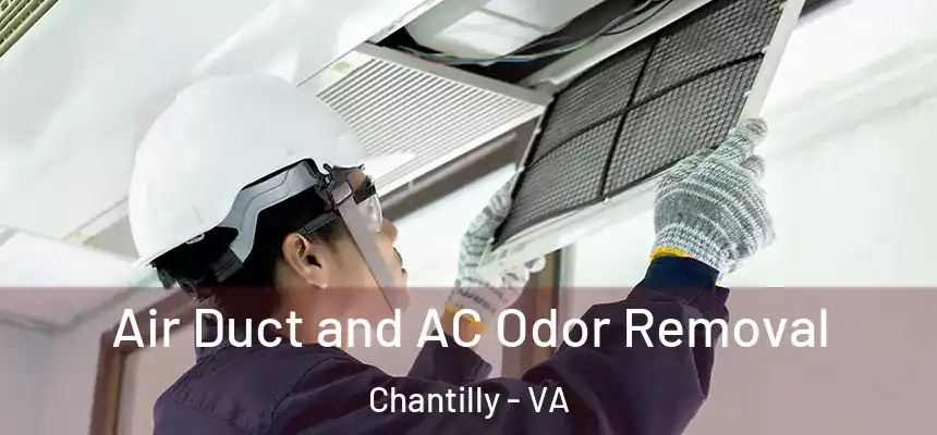 Air Duct and AC Odor Removal Chantilly - VA