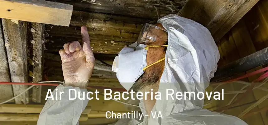  Air Duct Bacteria Removal Chantilly - VA