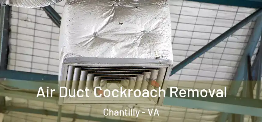  Air Duct Cockroach Removal Chantilly - VA
