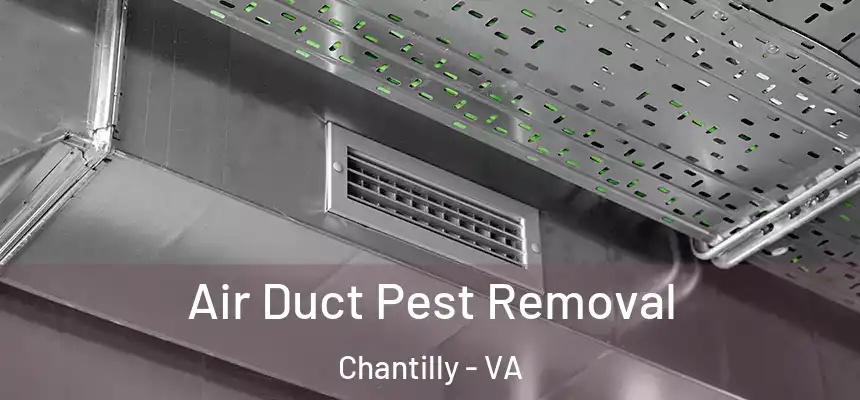 Air Duct Pest Removal Chantilly - VA