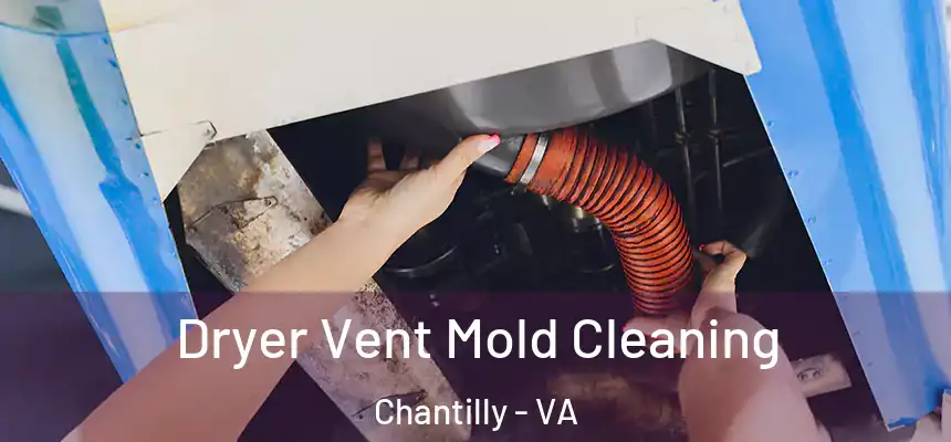  Dryer Vent Mold Cleaning Chantilly - VA