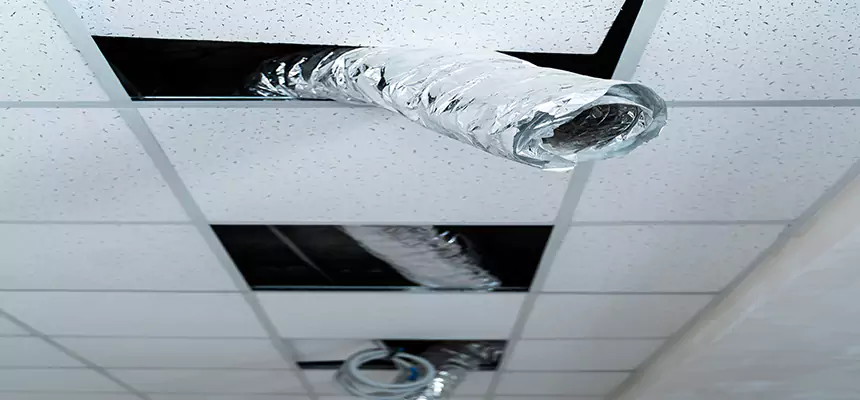 Affordable HVAC Sanitizing After Pest Removal in Chantilly