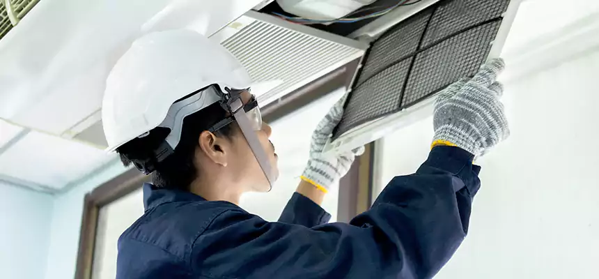 Our Mold & Mildew Removal from Air Ducts Services in Chantilly, VA