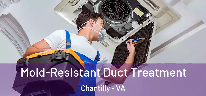  Mold-Resistant Duct Treatment Chantilly - VA