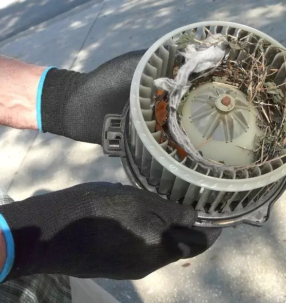 About Air Duct Mice Removal in Chantilly, VA