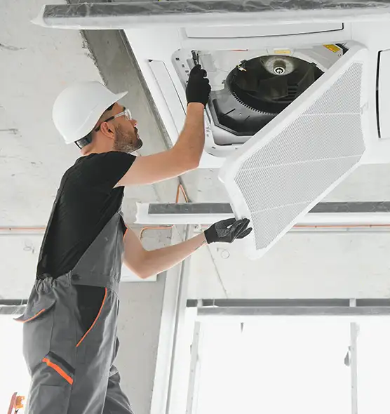 About Air Duct Rodent Removal in Chantilly, VA