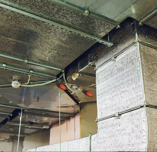 Why Homeowners & Businesses Trust Us Chantilly, VA?