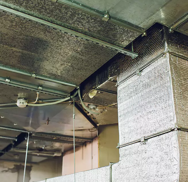 Why Homeowners & Businesses Trust Us in Chantilly, VA?