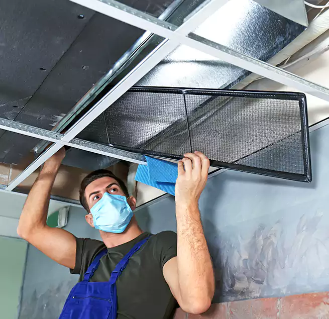 Why Homeowners Businesses Trust Us in Chantilly, VA